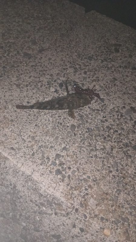 結局ガシリング