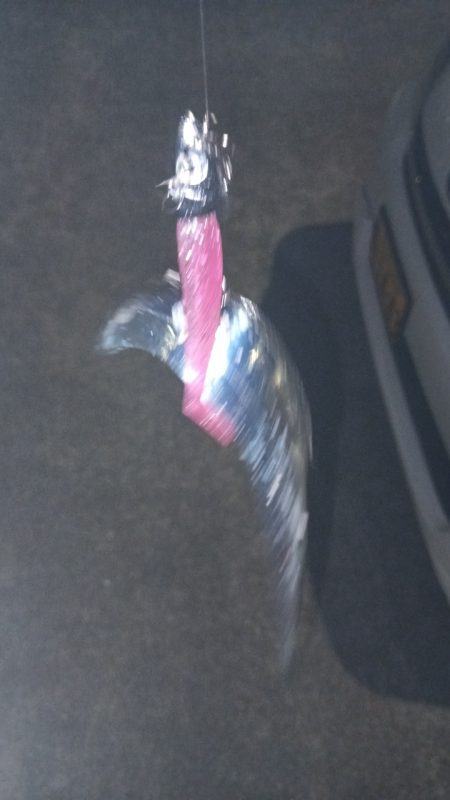 初タッチーget　指二本