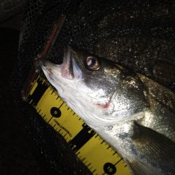 良くない状況の中…