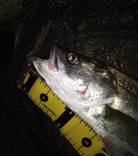 良くない状況の中…