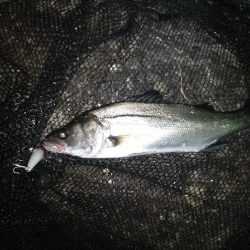 雨が欲しい所…