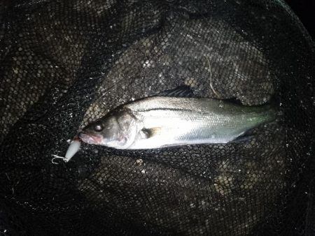 雨が欲しい所…