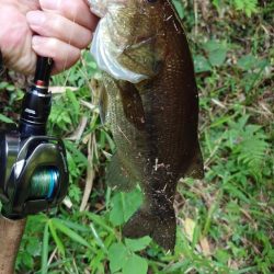 パンチショット