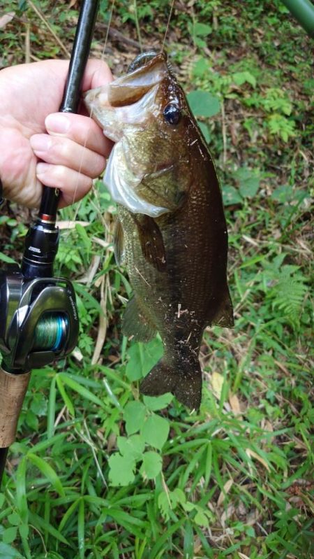 パンチショット