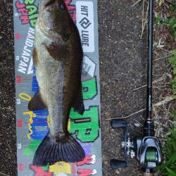 水面〜ボトムまで