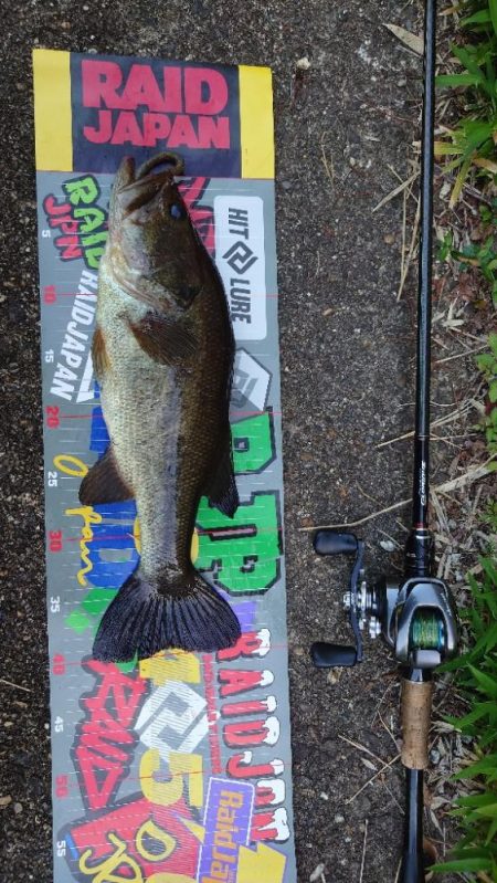 水面〜ボトムまで
