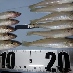 ふらっと西淡路