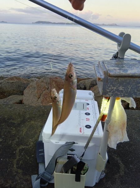 苅屋海岸のキス釣り