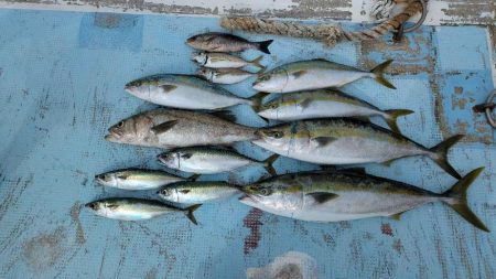 久々オフショア