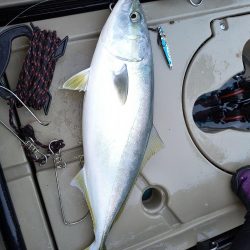 サメに襲われて…