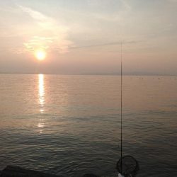 フロートゲーム。