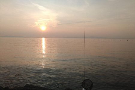 フロートゲーム。