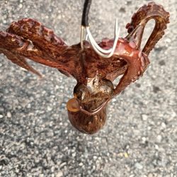 アジング18オクト2