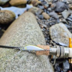 用事済ませて昼前に到着