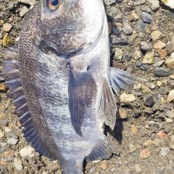 トップチニング