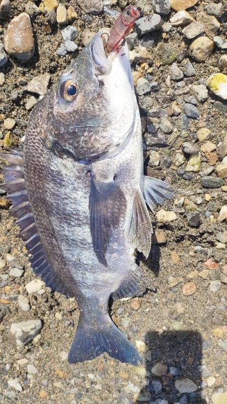 トップチニング