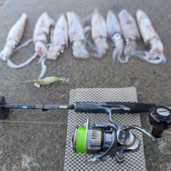 数出るようになってきた