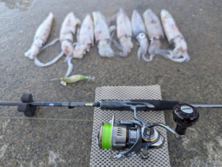 数出るようになってきた