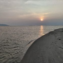 短時間釣行で釣れました!