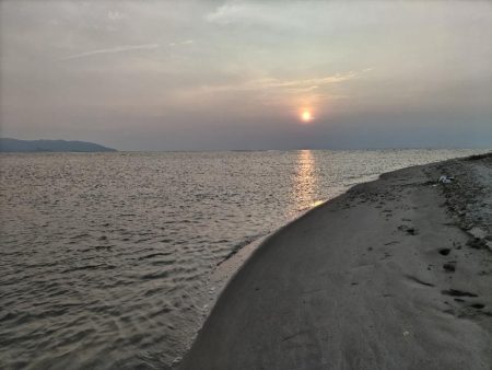 短時間釣行で釣れました!