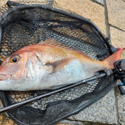 雨の中チニング