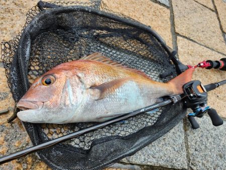 雨の中チニング