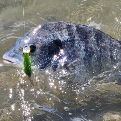 広島河川クロスウェイクチニング