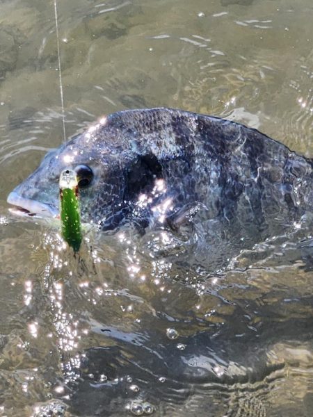 広島河川クロスウェイクチニング