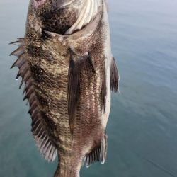 全国的に夏です。