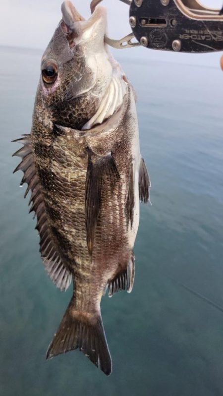 全国的に夏です。
