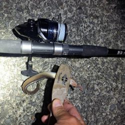 真夜中の穴子釣り