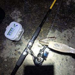 どハマり穴子釣り