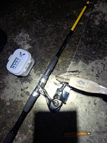 どハマり穴子釣り