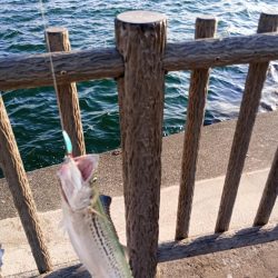 7月13日日曜日 2カ所目