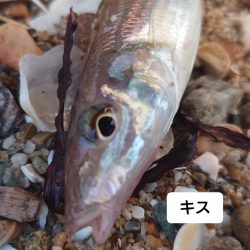 遠投キス釣り