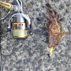 初めてのロック