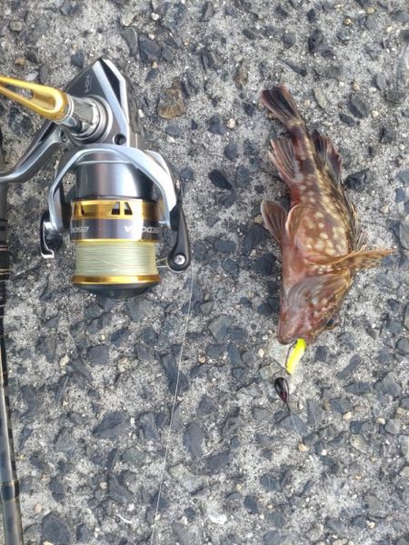 初めてのロック