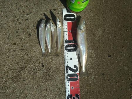 キス、キス、オバケ、キス、キス