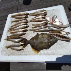 真夏のファミリー船キス