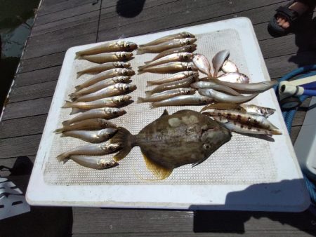 真夏のファミリー船キス