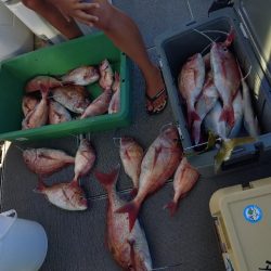 真夏のタイラバ