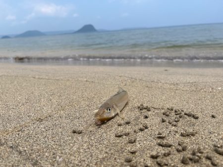 唐津のサーフで釣ってみました