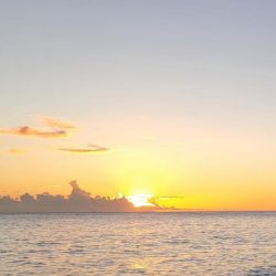 イサキが食べたくて