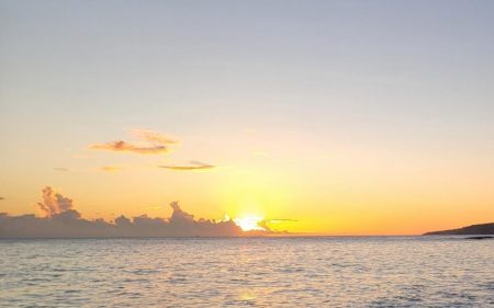 イサキが食べたくて