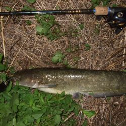 久々に奈良まで