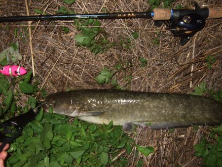 久々に奈良まで