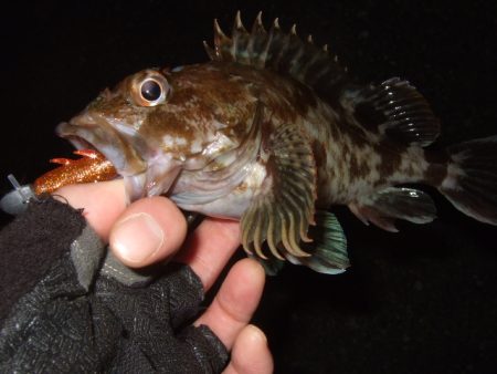 ぼちぼち厳しい