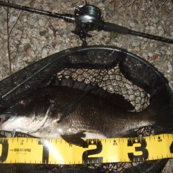 ハードルアーメインでチニング