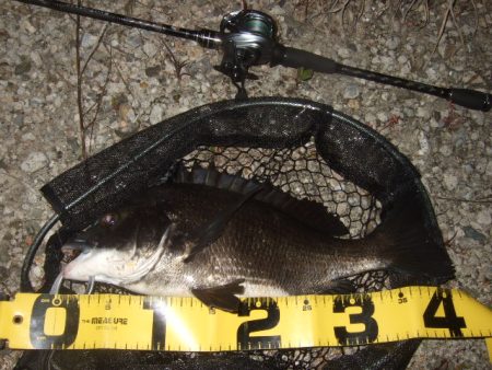 ハードルアーメインでチニング