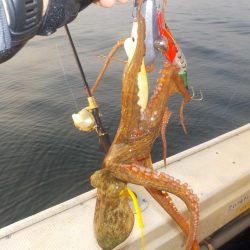 タコ第３戦〜盛和丸〜